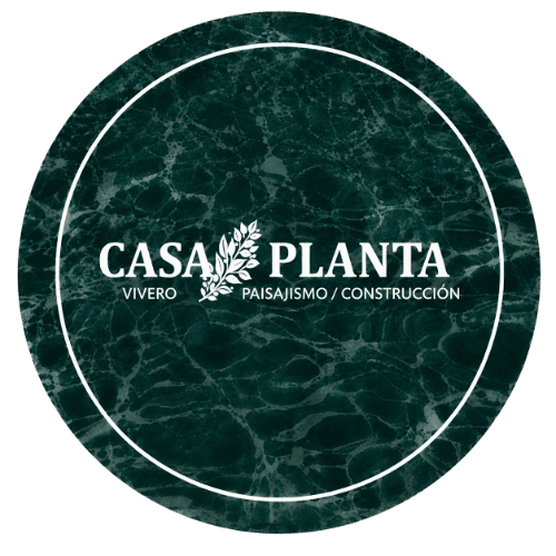 Casa Planta
