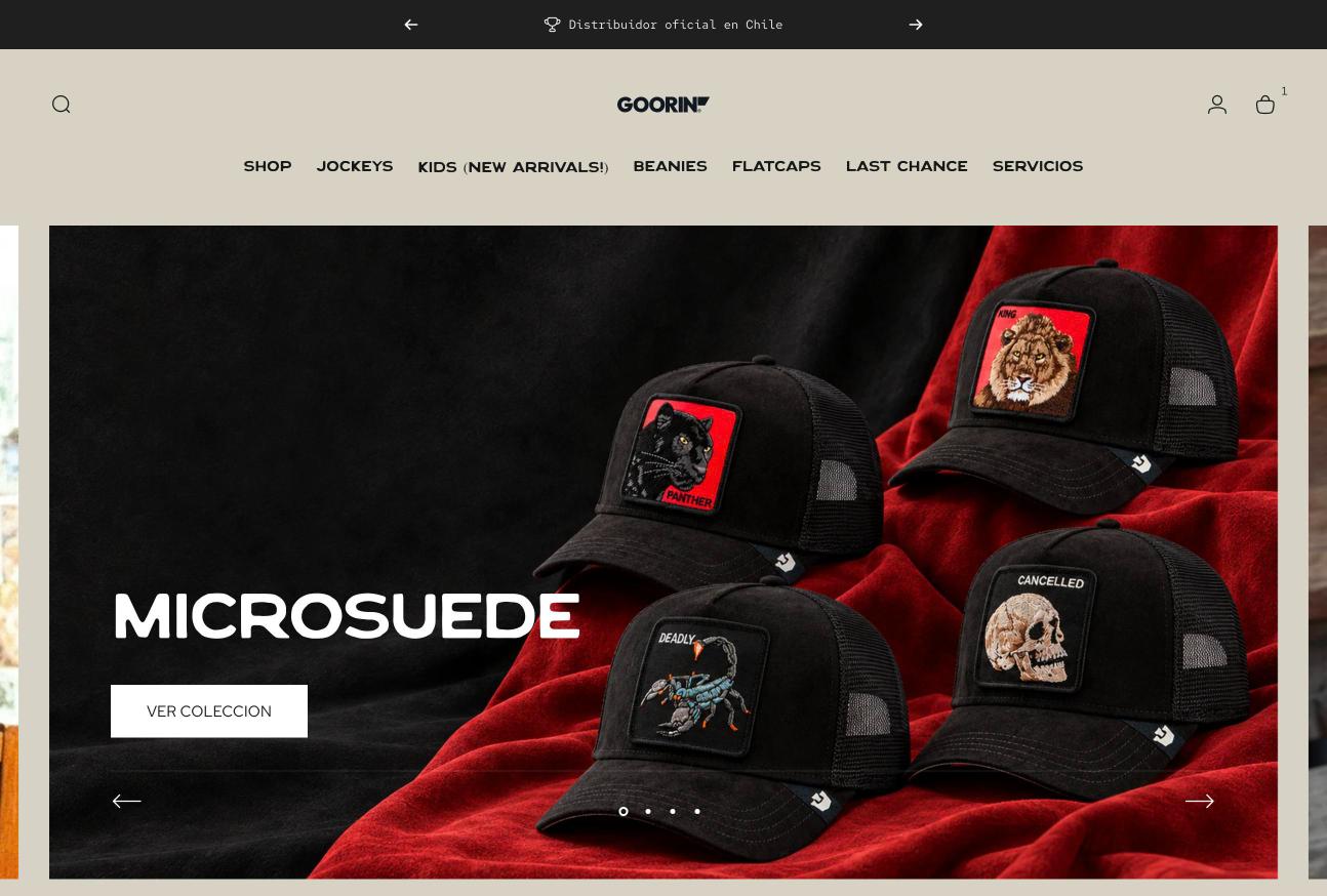 Sitio web Goorin, diseñado por La Ola Studio
