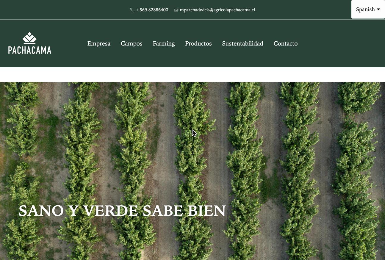 Sitio web Agrícola Pachacama, diseñado por La Ola Studio